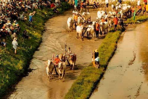 'Trại buôn người' đưa sắc màu văn hóa bản địa lên màn ảnh rộng