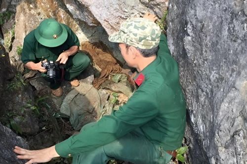 Miệt mài tìm kiếm đồng đội