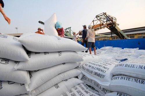 Quy định mới về điều kiện kinh doanh xuất khẩu gạo