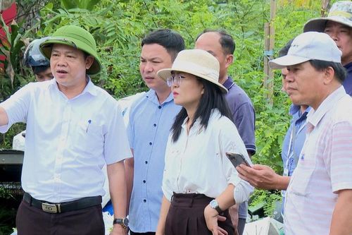Hỗ trợ thi công đẩy nhanh tiến độ dự án tuyến đường Lê Trọng Tấn