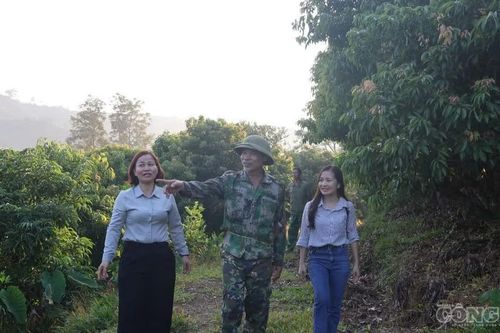 Tạo sinh kế để người trẻ vùng cao lập nghiệp trên quê hương