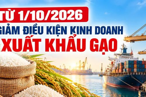 Từ 1/10, giảm điều kiện kinh doanh xuất khẩu gạo