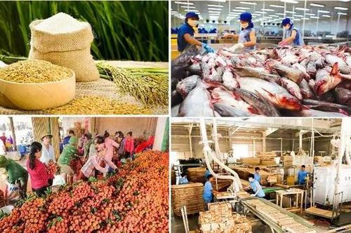 Chung tay nâng cao giá trị nông, lâm, thủy sản