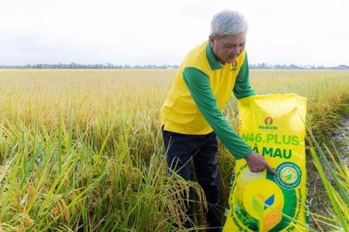 Phân Bón Cà Mau cùng nhà nông đi xa hơn trong bài toán canh tác bền vững