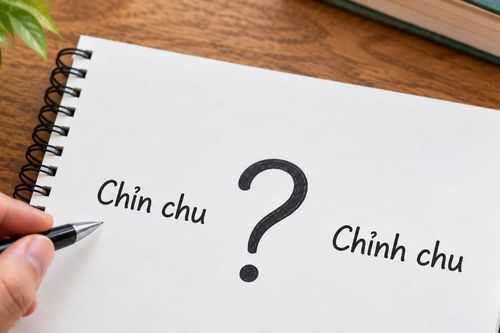 Chỉn chu hay chỉnh chu đúng chính tả tiếng Việt?