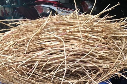 Loài cỏ dại bị ghét lại được Đông y coi như 'báu vật'