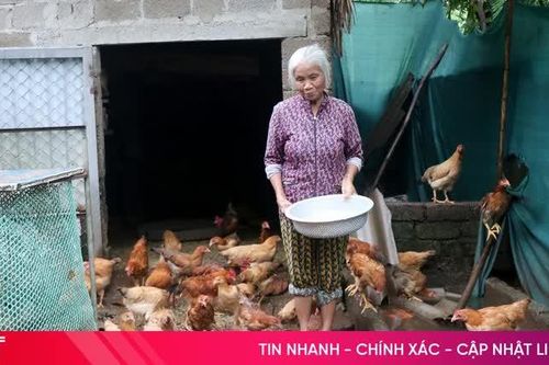Những mô hình sinh kế tạo điểm tựa cho người nghèo ở Gia Hanh