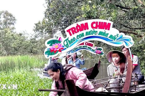 Trải nghiệm mộc mạc 'chạm' tới trái tim du khách tại Tràm Chim