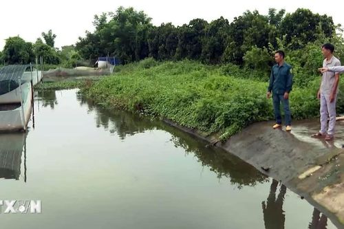 Những tấm gương đổi mới tư duy nông nghiệp tại Ninh Bình