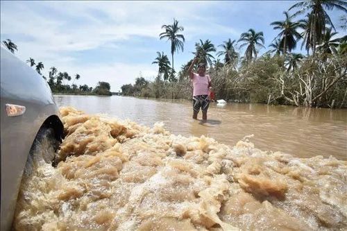 Bão mạnh áp sát, Mexico huy động hàng chục nghìn người ứng phó