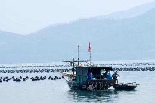 Quảng Ninh: Gỡ vướng giao mặt nước, thúc đẩy nuôi biển