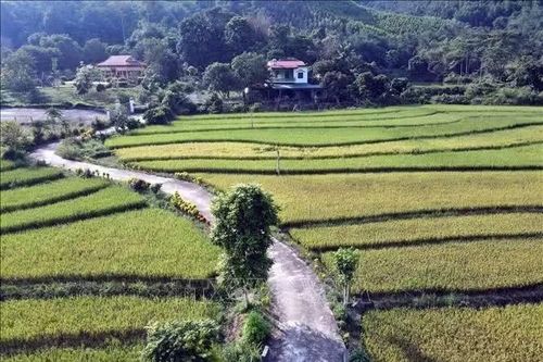 Tuyên Quang: Mục tiêu có 60 xã đạt chuẩn nông thôn mới vào năm 2030