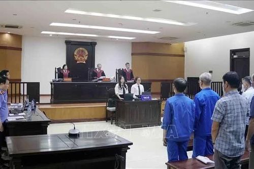 Cựu Bộ trưởng Nguyễn Thị Kim Tiến và một số bị cáo được đề nghị giảm án
