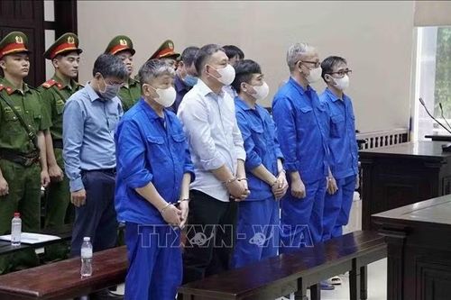 Cựu Bộ trưởng Nguyễn Thị Kim Tiến và một số bị cáo được đề nghị giảm án