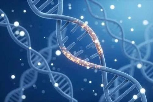 Phát hiện gene liên quan đồng thời đến khiếm thính, tóc bạc ở trẻ em