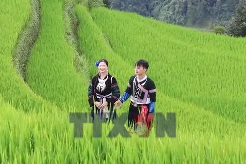 Lào Cai biến sắc màu văn hóa thành nguồn lực du lịch