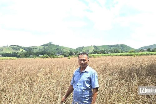Lũ dữ rút đi, nước mắt nông dân ở lại