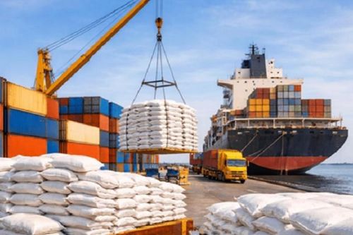 Siết điều kiện xuất khẩu, kiểm soát kế hoạch nhập khẩu gạo