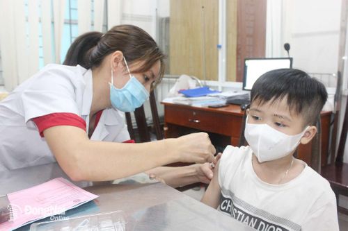 Hơn 44,5 ngàn người tiêm vaccine phòng bệnh dại trong 8 tháng qua