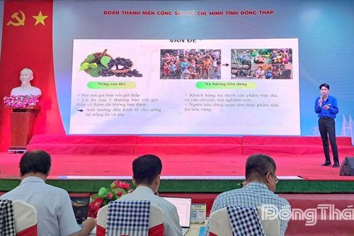 Đồng Tháp: 28 dự án tranh tài tại Vòng bán kết Cuộc thi Khởi nghiệp