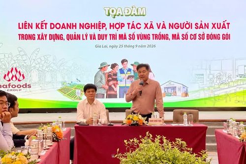 Thúc đẩy liên kết đa bên trong xây dựng, quản lý và duy trì mã số vùng trồng, mã số cơ sở đóng gói