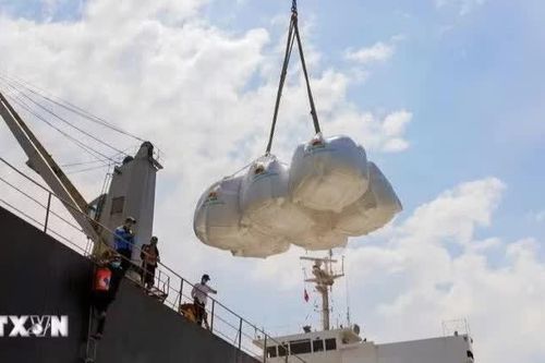Gạo hữu cơ, gạo đồ được nới điều kiện xuất khẩu từ tháng 10