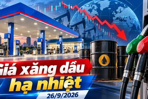 Giá xăng dầu hôm nay 26/9: Dầu thế giới hạ nhiệt cuối tuần