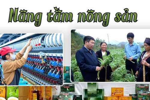 Nâng tầm nông sản