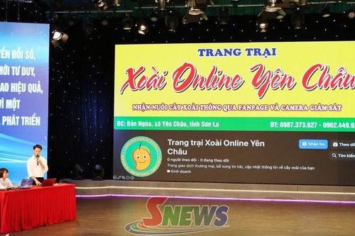 Nhiều giải pháp thiết thực mang đến Cuộc thi về chuyển đổi số tỉnh Sơn La năm 2026