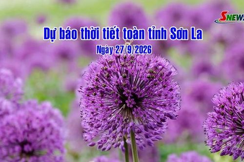 Dự báo thời tiết toàn tỉnh Sơn La ngày 27/9/2026