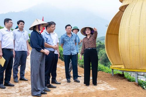 Khẩn trương hoàn thiện các điều kiện phục vụ Festival Trà Quốc tế - Thái Nguyên