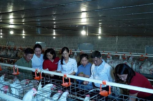 Chi trả để phục hồi, không chỉ để bù đắp