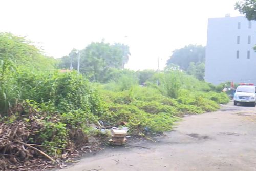 Xã Đông Anh chuẩn bị đấu giá 21 thửa đất