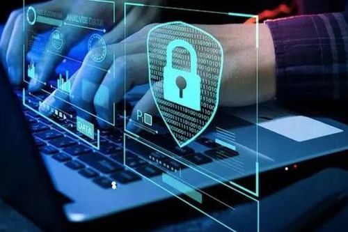 Không đưa dữ liệu người nộp thuế lên AI công cộng