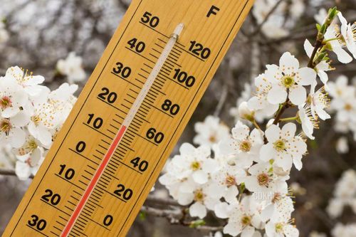 Dự báo thời tiết đợt không khí lạnh gây mưa tại miền Bắc từ tuần sau