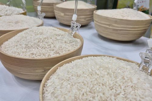 Quy định mới về điều kiện kinh doanh xuất khẩu gạo từ ngày 1/10/2026