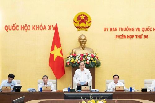 Tiếp tục rà soát việc mở rộng trách nhiệm hình sự của pháp nhân thương mại