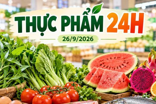 Thực phẩm 24h ngày 26/9: Trứng gà từ 27.900 đồng/hộp, cá hồi giảm mạnh