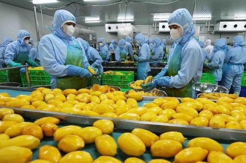 Xuất khẩu nông sản: Không chỉ bán nhiều, phải giữ lại nhiều giá trị hơn