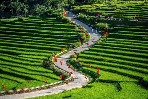Cuối tuần muốn đổi gió tận hưởng không gian xanh, đây là 5 điểm đến gần Hà Nội tiết kiệm chi phí không nên bỏ qua