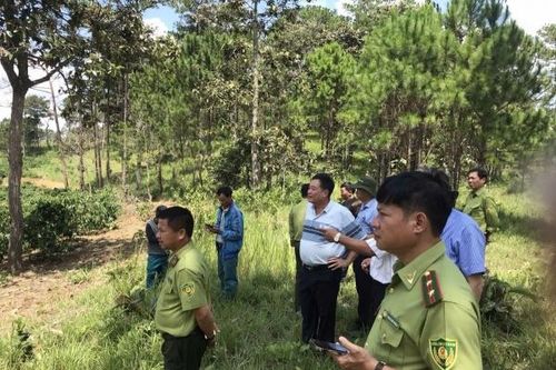 Lâm Đồng: Xã Quảng Tân kiểm tra, xác minh các trường hợp lấn chiếm đất đai tại một số Tiểu khu