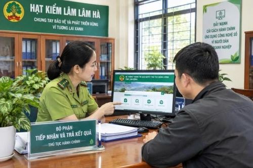 Hạt Kiểm lâm Lâm Hà: 100% hồ sơ thủ tục hành chính được giải quyết đúng hạn
