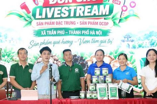 Xã Trần Phú đưa sản phẩm quê hương lên 'chợ số'