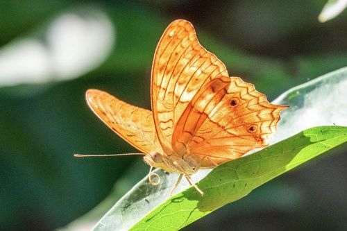 Số cuối ngày sinh Âm lịch của người càng sống càng có phúc, hậu vận dễ đủ đầy