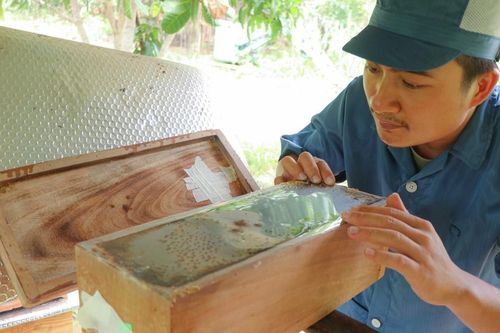 Mật ngọt trên vùng đất khô cằn