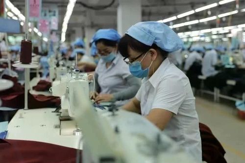 Giảm mức đóng bảo hiểm tai nạn lao động xuống 0,3% đến hết năm 2027?
