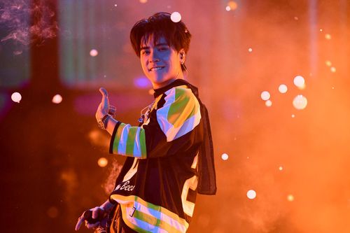 Đàm Vĩnh Hưng, Quang Hùng MasterD khuấy động concert TikTok Food Fest