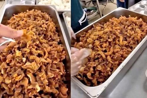 Bữa ăn bị ví 'toàn tóp mỡ': Điểm đứt gãy dữ liệu khiến hai trường phải dừng hợp đồng