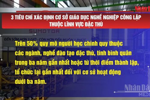 [Video] 3 tiêu chí xác định cơ sở giáo dục nghề nghiệp công lập thuộc lĩnh vực đặc thù