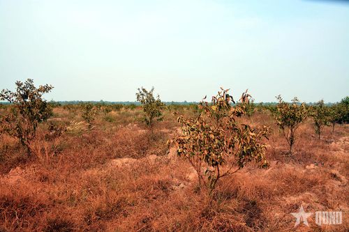 Việt Nam ứng phó thế nào với El Nino và nguy cơ hạn hán?